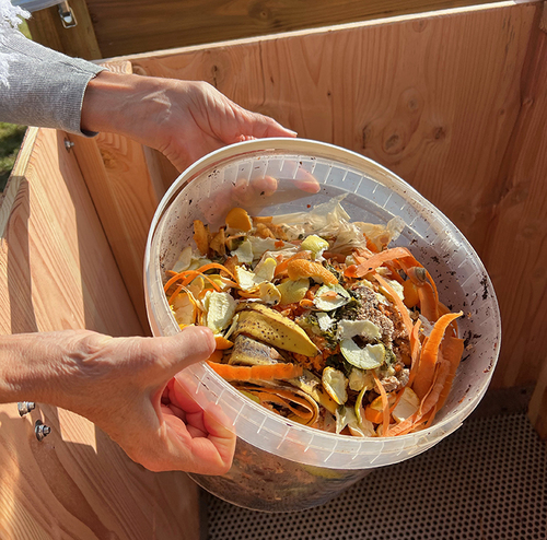 compost.jpg