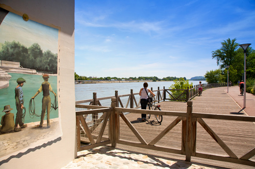 BORD-DU-RHONE.jpg
